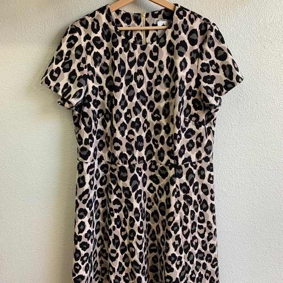 Eliza J. Leopard Print Dress - Picture 4 of 4